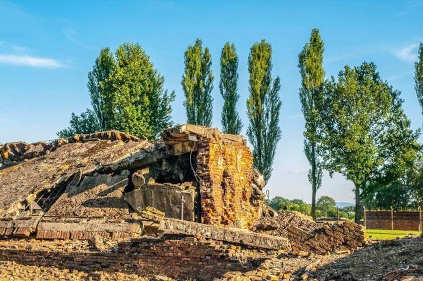 Oswiecim Auschwitz-Birkenau Museum with Audio Guide No Ticket 5
