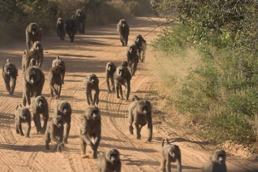 Ol Donyo Sabuk Machakos 4WD Group Tour from Nairobi 2