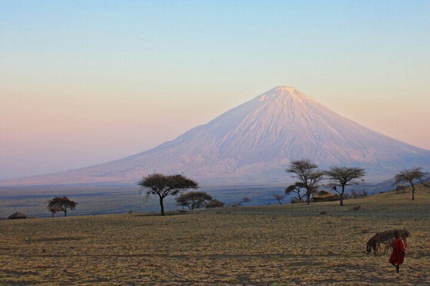 A landscape with a mountain, sparse trees, and a person walking. 3