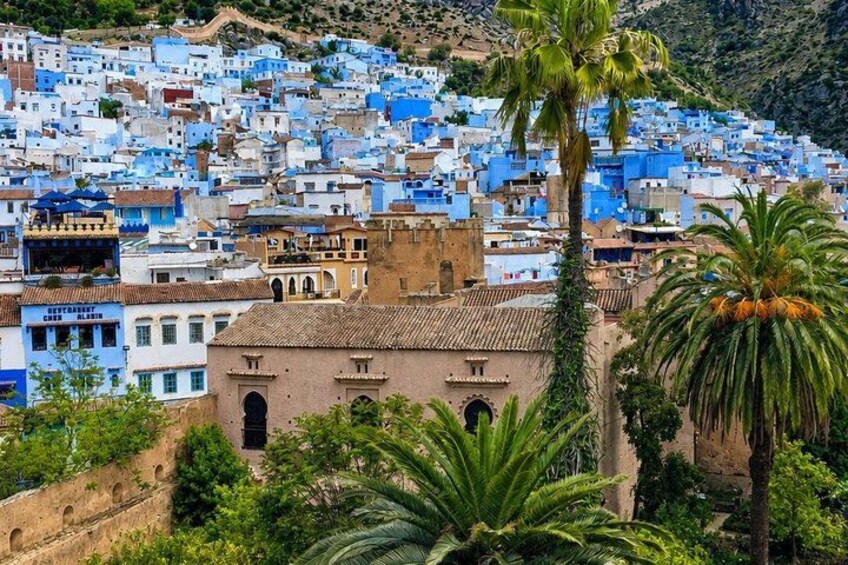 A town with blue buildings, palm trees, and a hill in the background. 4