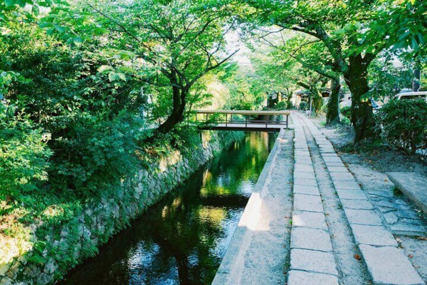 Kyoto's Historic Districts and Scenic Routes E-Bike Adventure 5