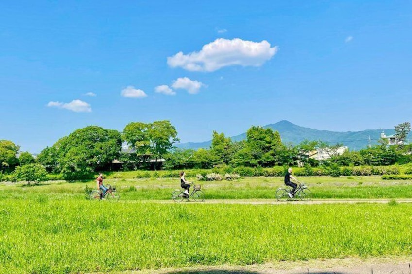 Kyoto's Historic Districts and Scenic Routes E-Bike Adventure 1