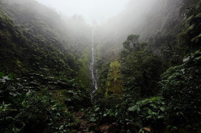 Vuelta al Cañón Waterfall Hike in Bajos del Toro 2