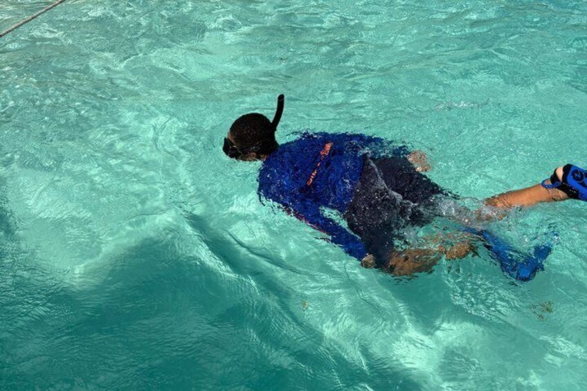 Snorkeling in the BVI Tortola 3