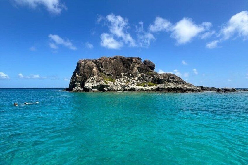 Sint Maarten: Turtles, Beaches, Snorkeling & Floating Restaurant 2