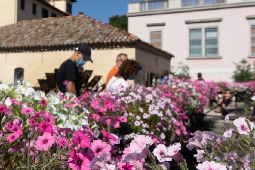 Discover Venetian Charm on a Guided Walk in Portogruaro 3