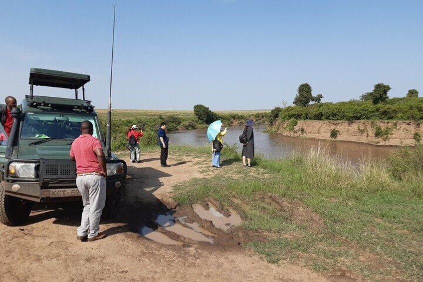 Private Game Drive in Maasai Mara 4