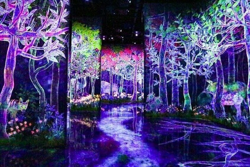 TeamLab Planets TOKYO Admission Entry Ticket 3