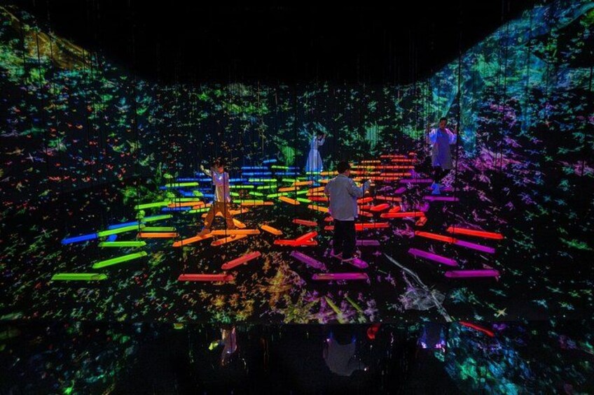 TeamLab Planets TOKYO Admission Entry Ticket 2