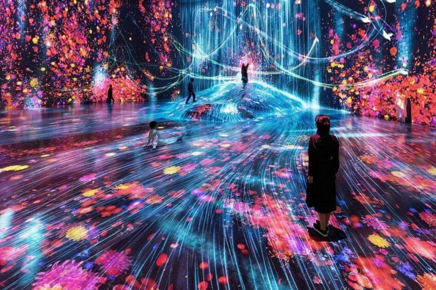 TeamLab Planets TOKYO Admission Entry Ticket 3