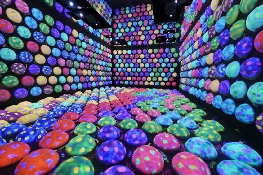 TeamLab Planets TOKYO Fast Track Entry Ticket 4