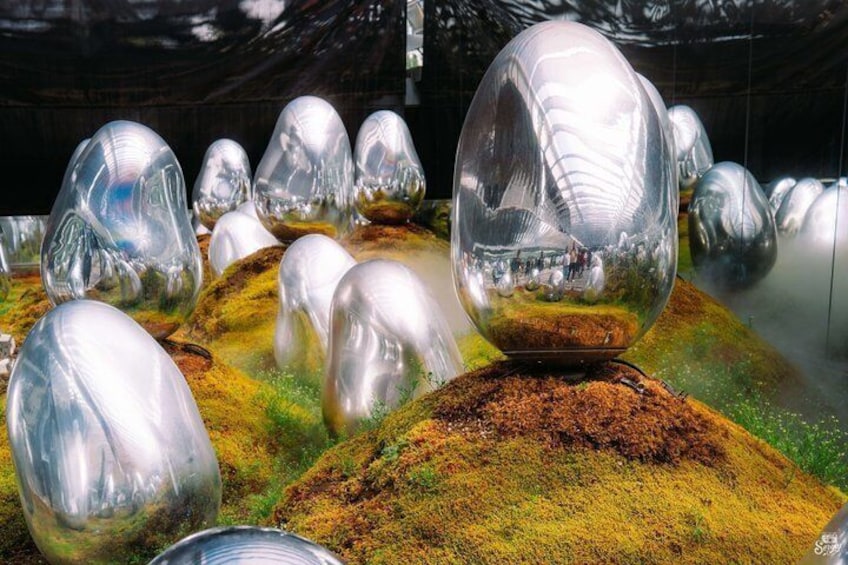 TeamLab Planets TOKYO Fast Track Entry Ticket 5
