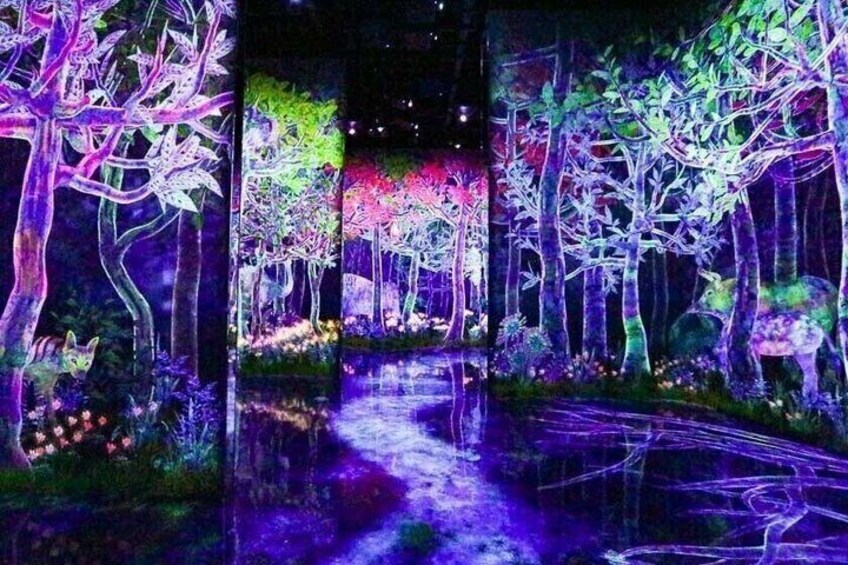 TeamLab Planets TOKYO Admission Entry Ticket 5
