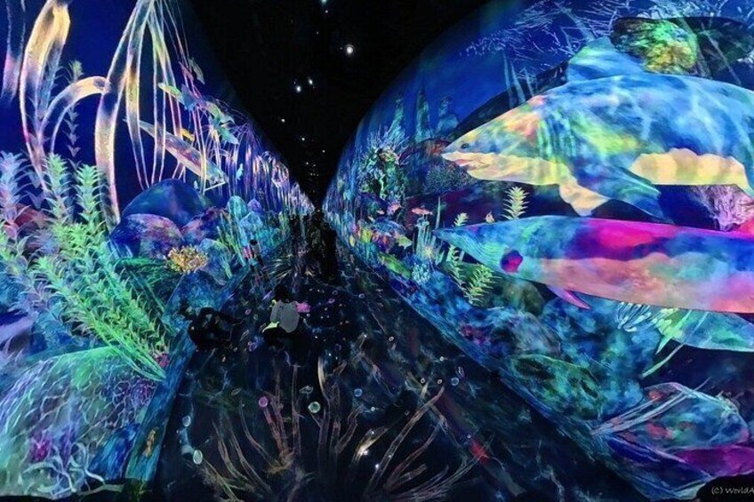 An aquarium with colorful fish and aquatic plants. 4
