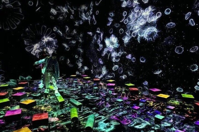 TeamLab Planets TOKYO Admission Entry Ticket 2