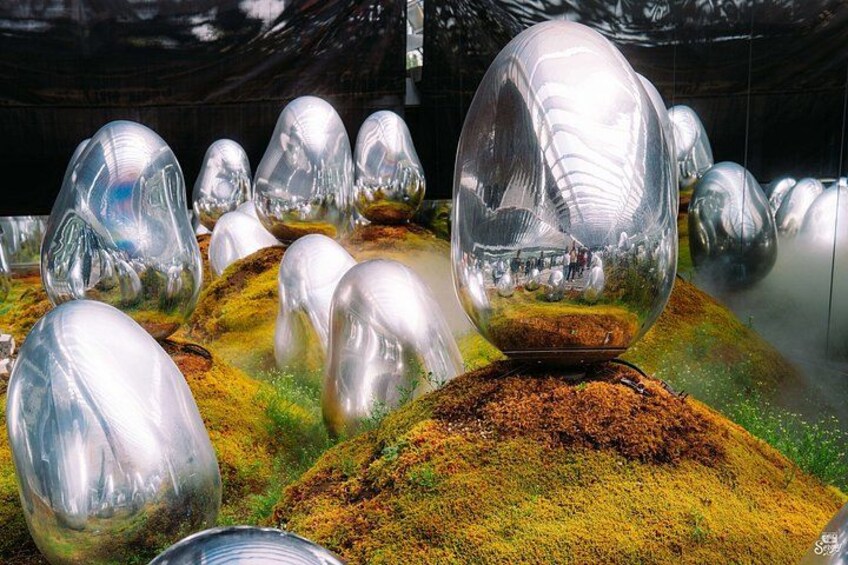 TeamLab Planets TOKYO Admission Entry Ticket 2