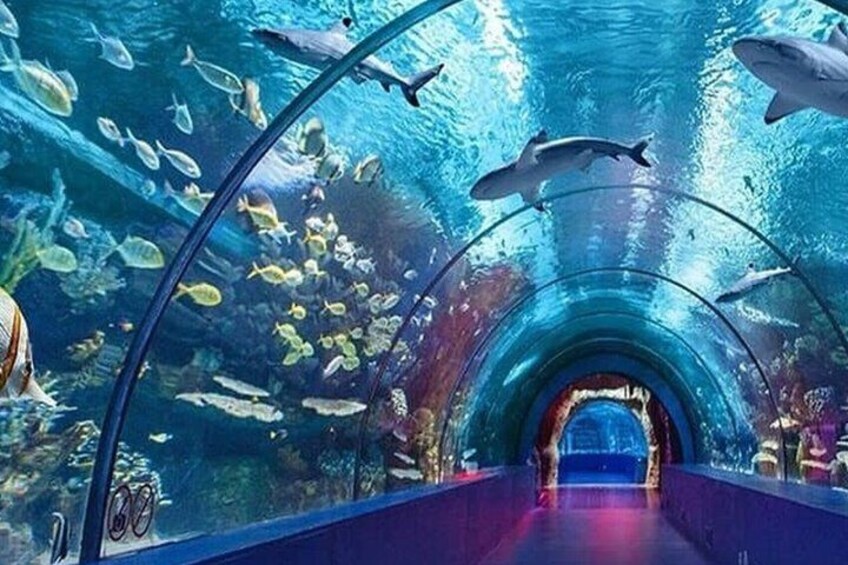 Antalya Aquarium Admission Ticket 1