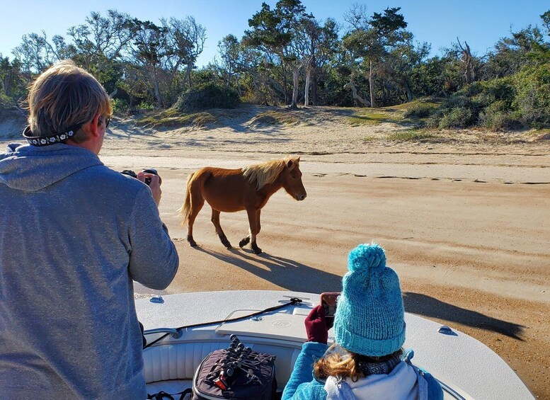 Picture 1 for Activity Sightseeing Cruise for wild horses and quaint villages in NC 2