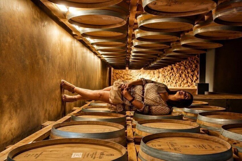 Three Vineyards in One Day in Querétaro 3