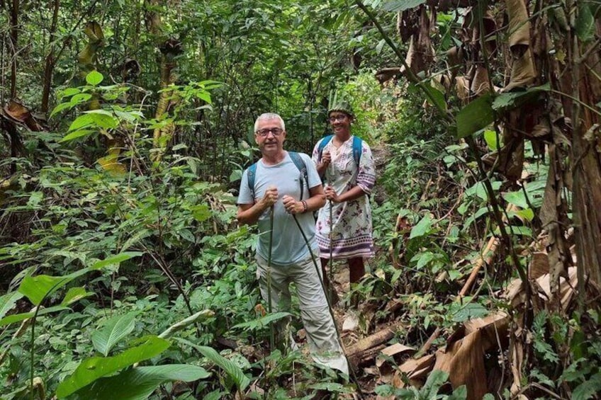 Two people hiking in a dense forest with various green plants and trees. 4