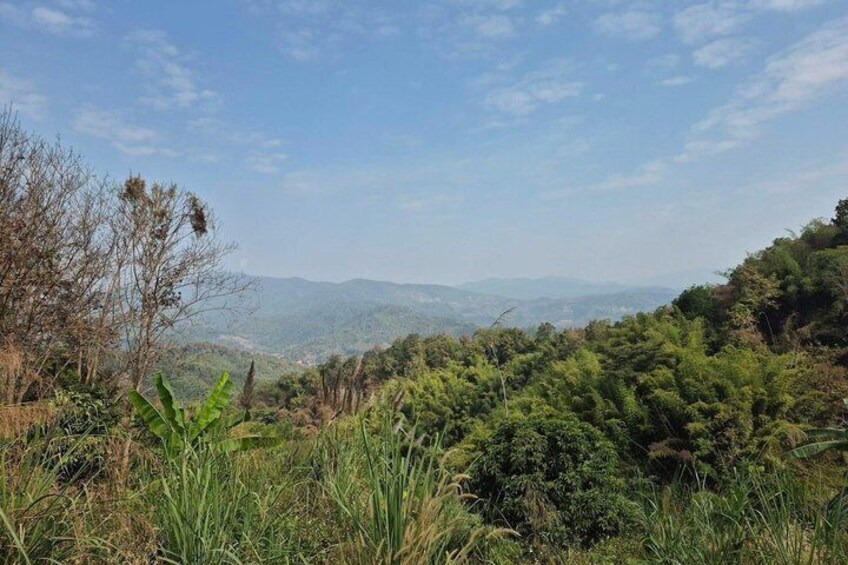 A hilly landscape with dense green vegetation and distant mountains under a clear sky. 5