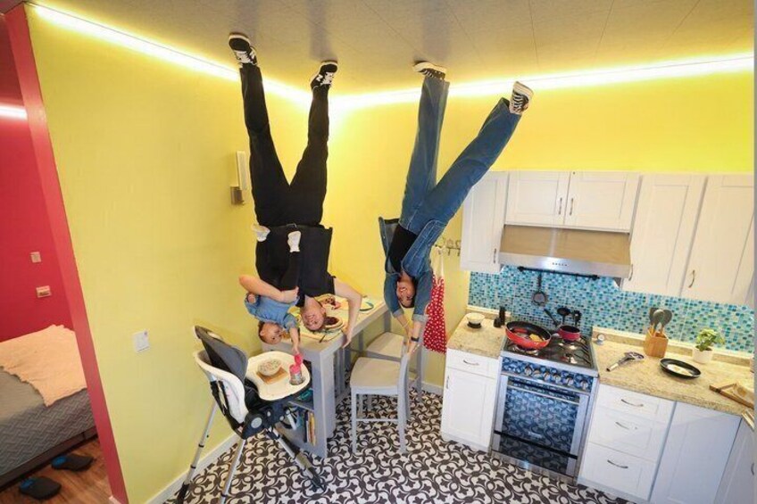 General Admission Ticket to the Upside Down House 1