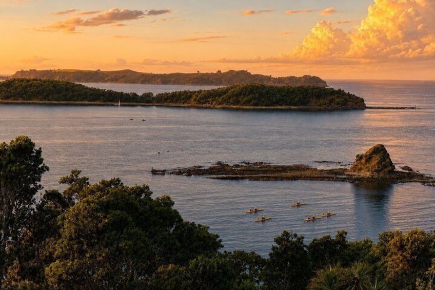 Auckland Private Motuora Island Kayak and Kiwi Encounter 1