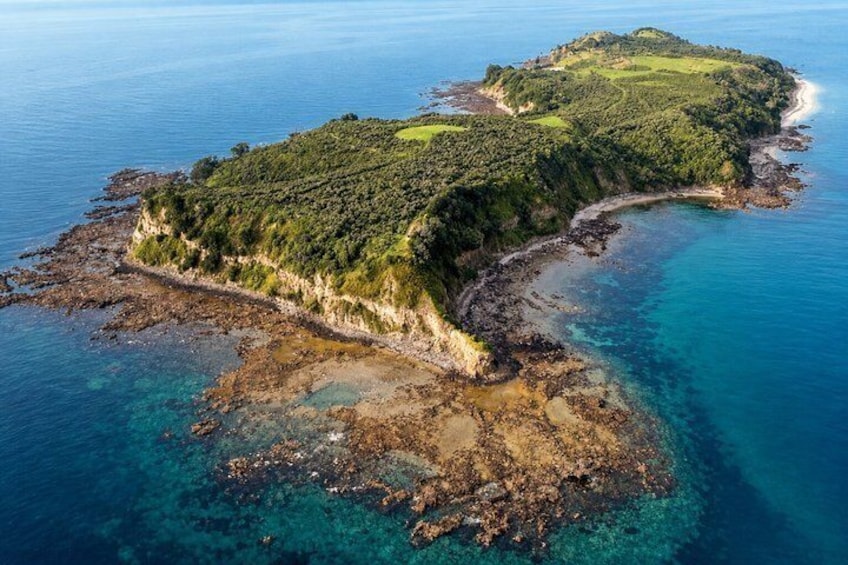 Auckland Private Motuora Island Kayak and Kiwi Encounter 2