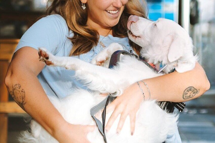 Rescue Dog Lounge Experience in Bellingham 3