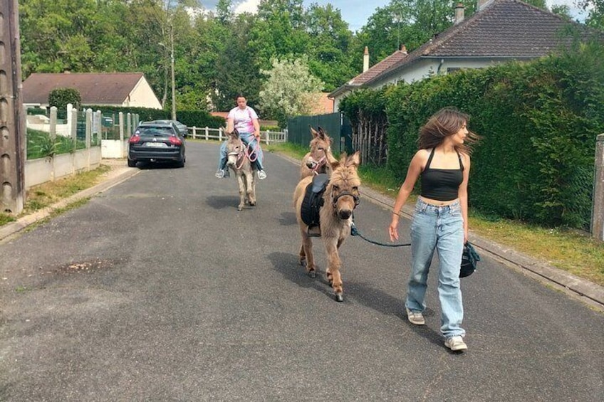 A street with a person walking a donkey, another person riding a horse, and a car parked on the side. 3