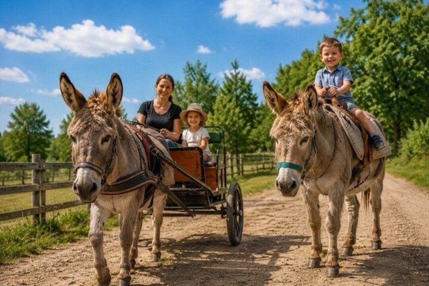 A donkey-drawn carriage with two passengers on a dirt path. 5