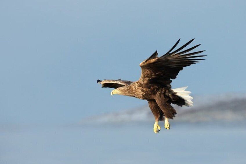 Full Day Fjord Shared Cruise Tour with Private Transportation 4