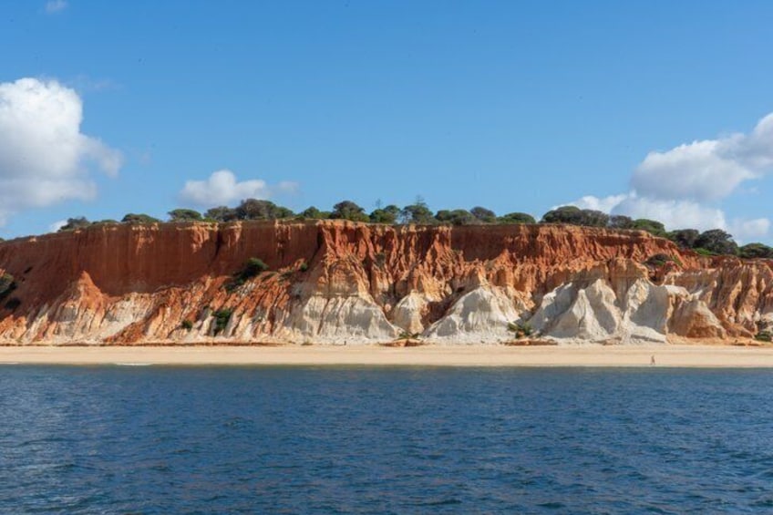 Sea Shuttle and City Tour from Vilamoura to Albufeira 5