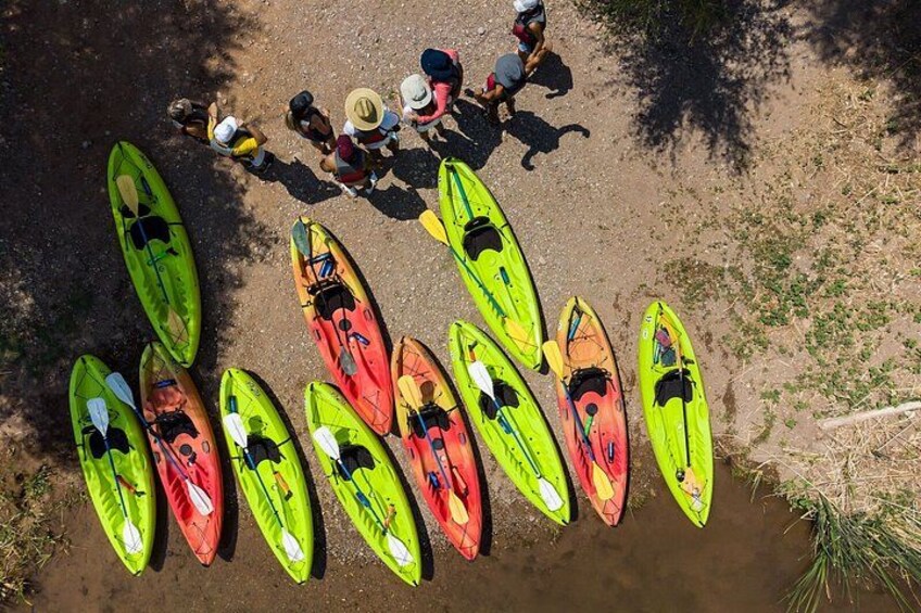 Guided Kayak Adventure on the Verde River 5