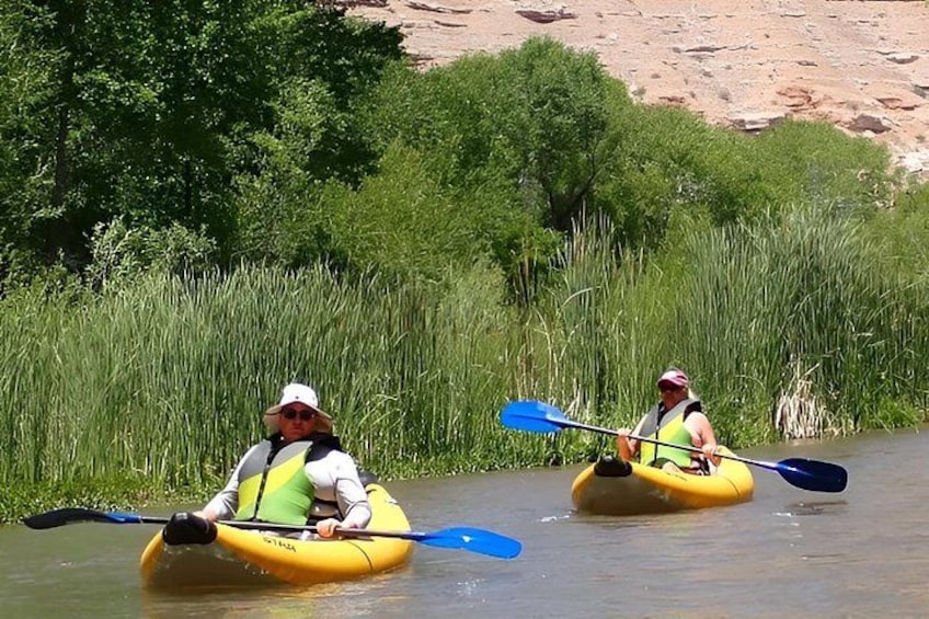 Two people kayaking on a river surrounded by tall grass and trees. 1