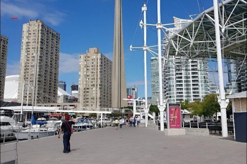 Toronto City Landmark and Nature Ride 4