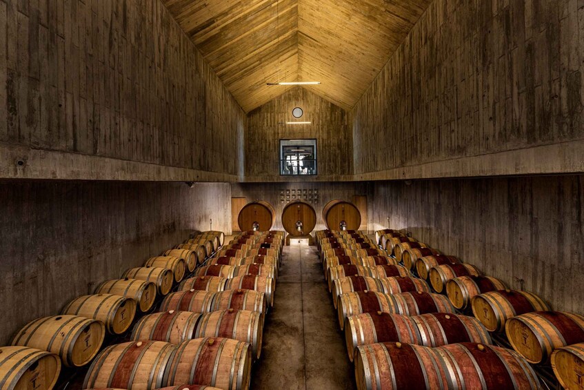 Picture 1 for Activity From Lisbon: Day Trip with Horses, Wine & Medieval Heritage 3