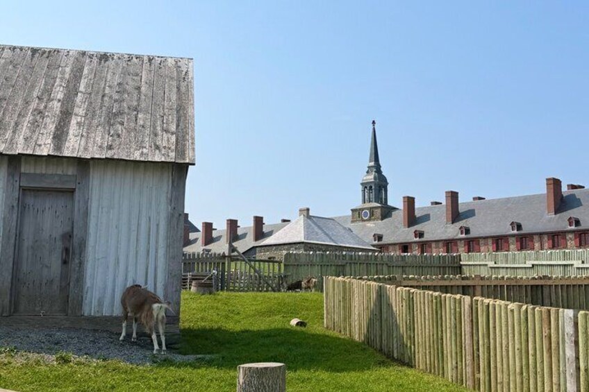 Louisbourg Tour, Canada’s 1st Lighthouse and Fortress 1