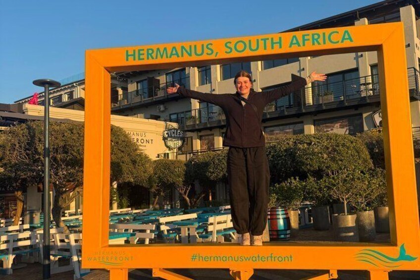 Shared Hermanus Boat Based Whale Watching and Penguin Adventure 4