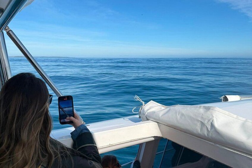 A person holding a smartphone, looking out at the ocean from a boat. 4