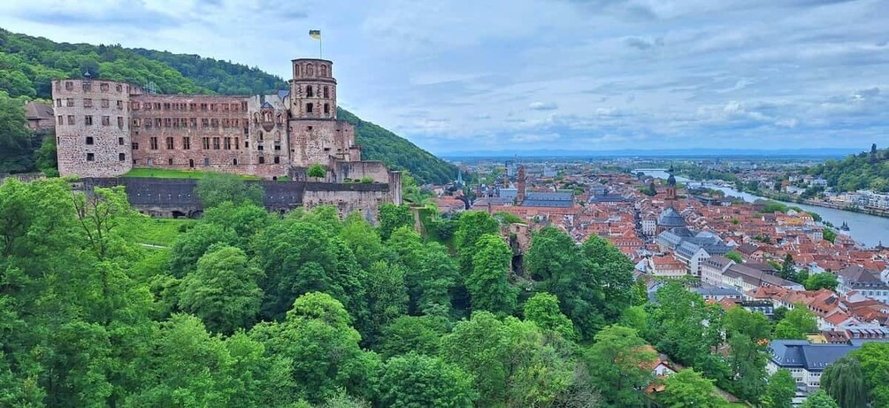 Heidelberg: Premium Tour with City, Castle & Königstuhl Panorama 1