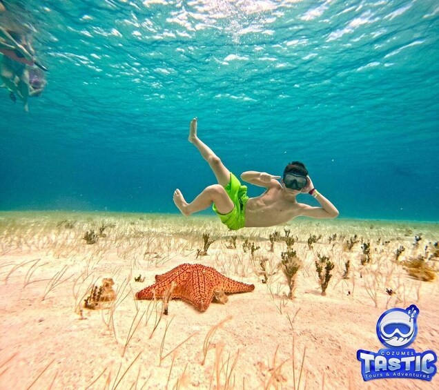 Cozumeltastic: Snorkel en Palancar Tortugas, Cielo y Cielito 1
