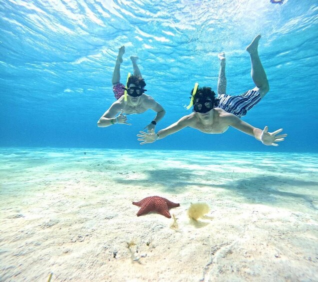 Picture 26 for Activity Cozumeltastic: Snorkel en Palancar Tortugas, Cielo y Cielito 5