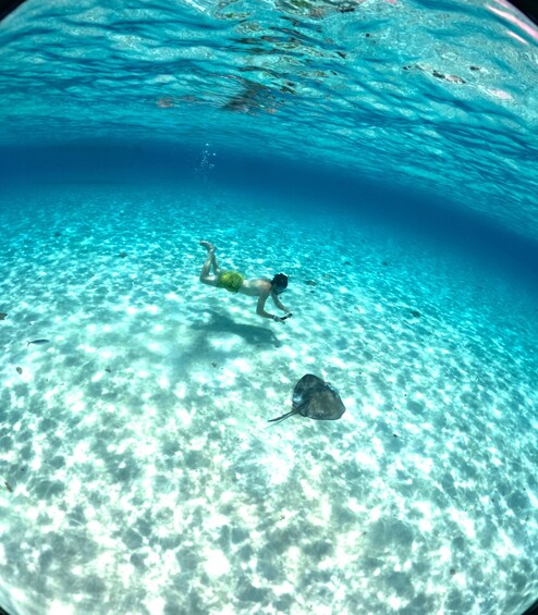 A person swimming underwater in clear blue water with sunlight filtering through. 2