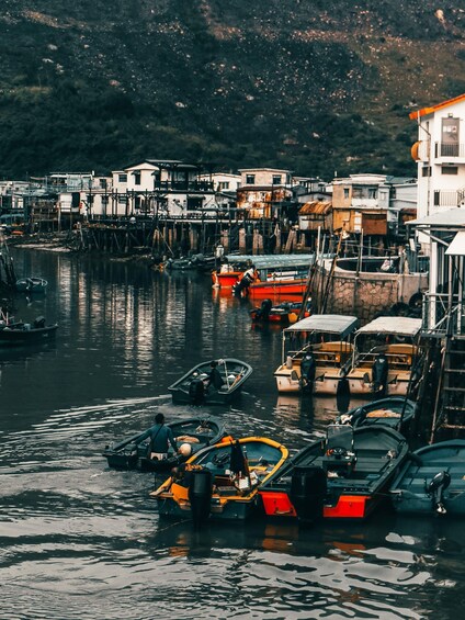 Picture 6 for Activity Hong Kong: Tai O Fishing Village Cruise & Stilt House Views 3