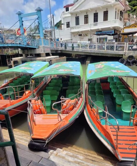 Picture 4 for Activity Hong Kong: Tai O Fishing Village Cruise & Stilt House Views 4