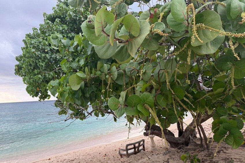 Negril Local Beach Hopping with Half Moon Beach Stop 2