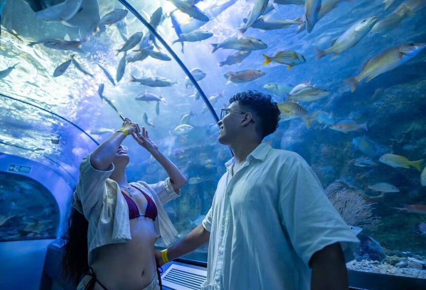 An aquarium with various fish species swimming in the water. 2