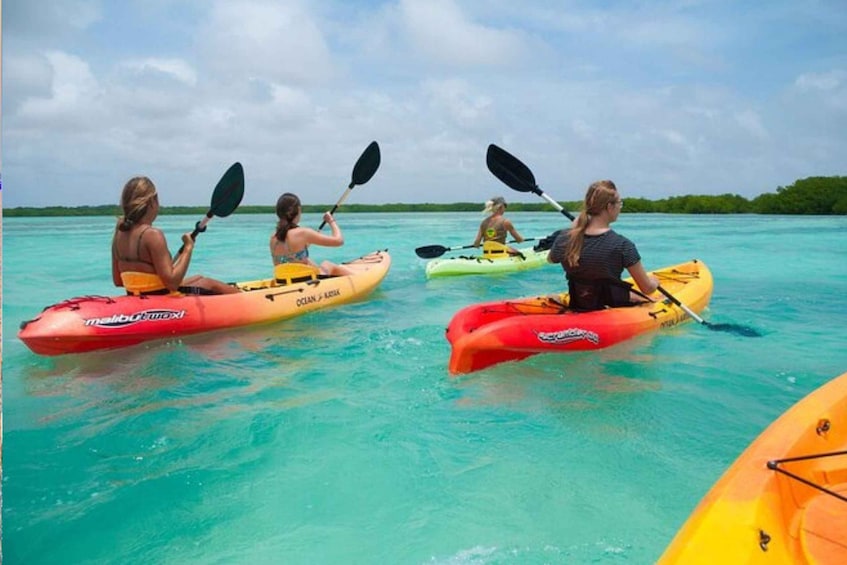 Four people kayaking on turquoise water with a clear sky. 4