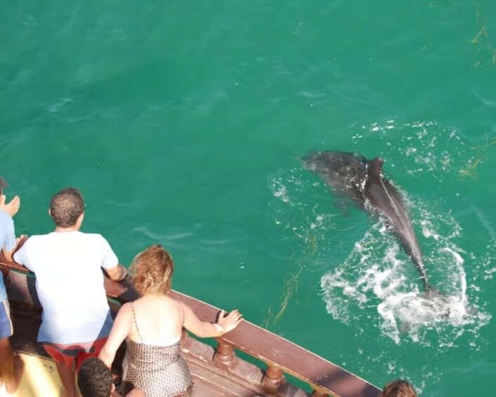 A group of people on a boat with a dolphin jumping out of the water. 3